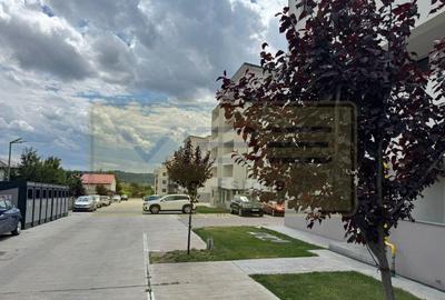 Spatiu office / comercial Valea Lupului - Strada Garoafei - 14