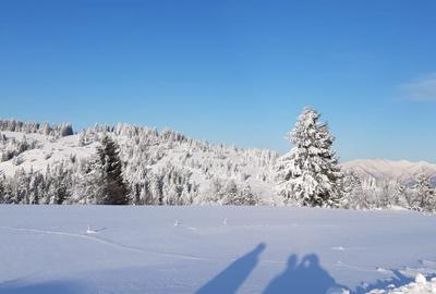 Teren de 470000 mp, în Moisei - 5