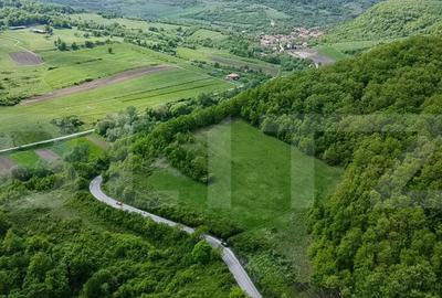 Teren superb, in mijlocul naturii, 18.360 mp, la Carji?i