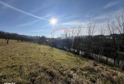 Teren de 10000 mp, în Moldovenești - 4