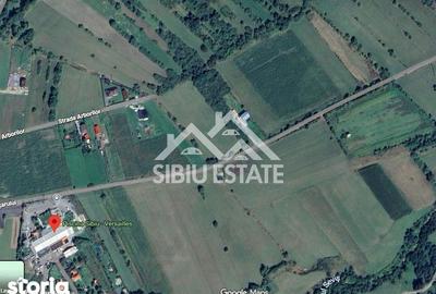Teren de 17160 mp, în Sadu