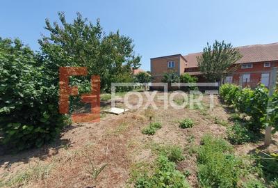 COMISION 0% Duplex la Rosu, Peciu Nou - Total de 231 mp utili, teren 1000 mp - 30