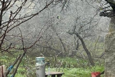 Vând  casă bătrâneasca - 8