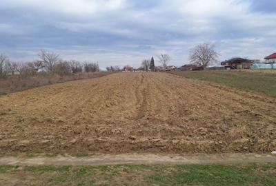 Spațiu comercial, în 1 Decembrie - 2