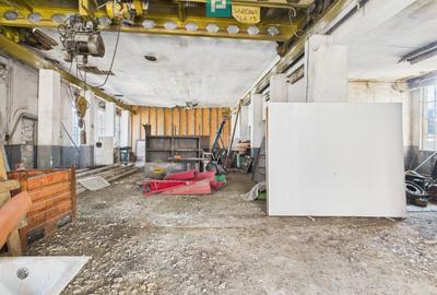 Spațiu industrial, de 6,179 mp, în Orțișoara - 46