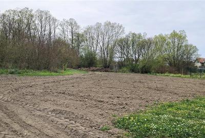 Teren Construcții intravilan de 1683 mp, în Lunca Calnicului - 3