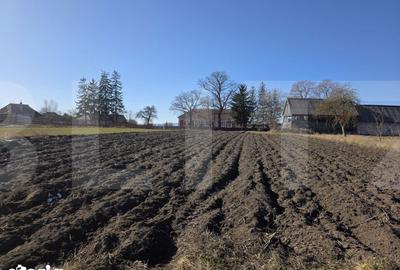 Casă cu 3 camere cu Teren 4669 Mp în Moacșa - 3