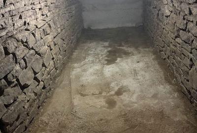 Casă cu 3 camere în Paltin