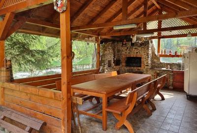 Vila de vanzare in Mun?ii Retezat, pe malul raului - 6