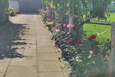 Casă cu 4 camere în Obârșia - 5