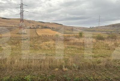 Teren extravilan in zona Centurii Cluj-Apahida - 3