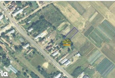 Teren de 613 mp, în Brânceni - 2