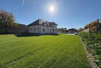 Inchiriere proprietate centrala P+M - activita?i profesionale - Calea Eroilor - 1