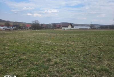 Teren de 4000 mp, în Mitocu Dragomirnei - 1
