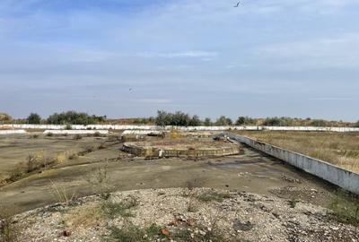 Ovidiu 6 ha teren intravilan construibil îngrădit și platforma betonata. - 7