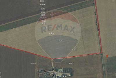 Teren agricol extravilan de 60000 mp, în Săcele - 6