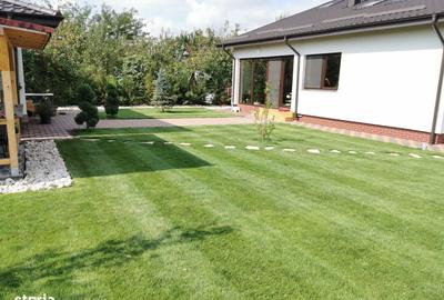 Casă cu 4 camere în Ulmi - 14