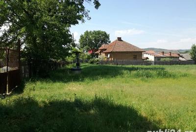 Casa cu teren 11414 mp , Vladimir-Andreesti , Jud.Gorj Pret 60000 - 7