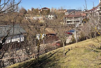 Spațiu comercial, în Bună Ziua - 7