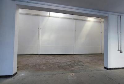 Hala industriala - 384mp - zona industriala Sud - str. Repub - 4