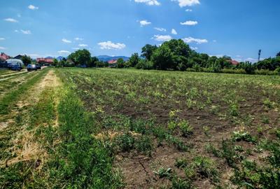 Teren intravilan in Stupini aproape de Centrul Cartierului 856 mp - 2