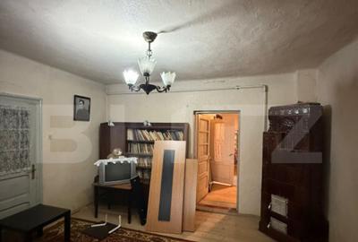 Proprietate completa in Sacuieni- Doua Case + Anexe - 23