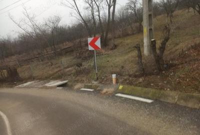 Teren de 2600 mp, în Fedeleșoiu - 2