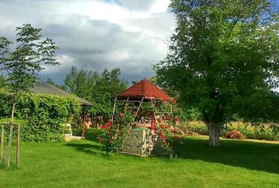 Ciopani vila 5 camere teren 4000 mp - 9