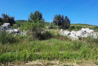 Teren de 2500 mp, în Berzasca - 14