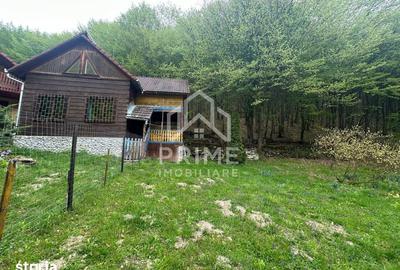 Casă cu 5 camere cu Teren 900 Mp în Ighiu - 9
