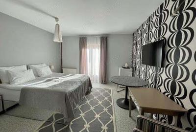 De vanzare Boutique Hotel, locatie functionala, zona Cheile Nerei - 6