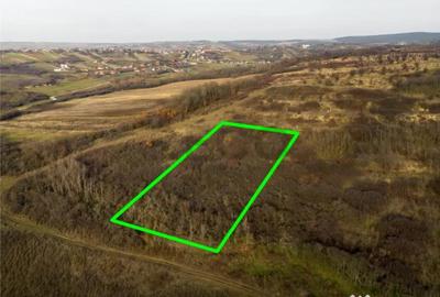 Teren în Uileacu de Munte - 1