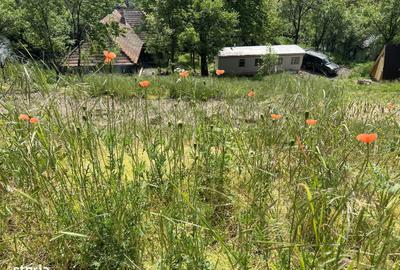 Casă cu 4 camere în Central - 4