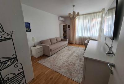 Garsoniera Dristor - complex Baba Novac Residence - 2