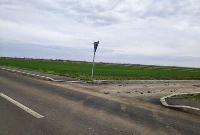 Teren de 5000 mp, în Brănești - 3