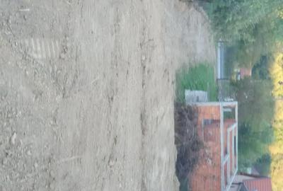 Casă cu 2 camere cu Teren 1142 Mp în Milova - 5