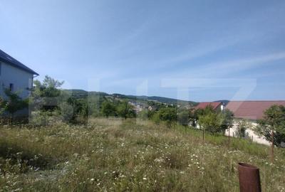 Teren intravilan 25 ari, zona Valea Sigmirului - 1