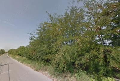 Teren de 2500 mp, în Ciofliceni - 3