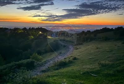 Preluca Noua jud. MARAMURES TEREN DEOSEBIT DE VANZARE - 5