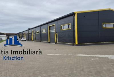 Hala industriala de inchiriat - Zona Aurel Vlaicu - 2