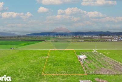 Teren de 6200 mp, în Central - 11