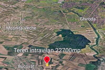 Bucovat - Lot Intravilan 2.27 Ha, PUZ inceput, Rezidentia... - 5