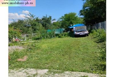 Teren intravilan de 550 mp, în Nistorești - 5