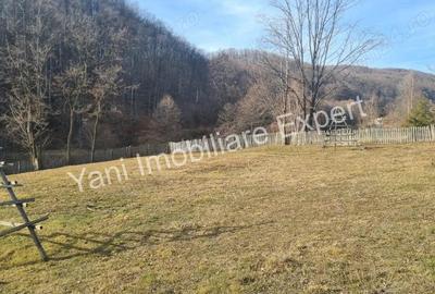 Teren de 4681 mp, în Bărăști - 13