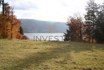 Teren Construcții intravilan de 12588 mp, în Tiha Bârgăului - 4