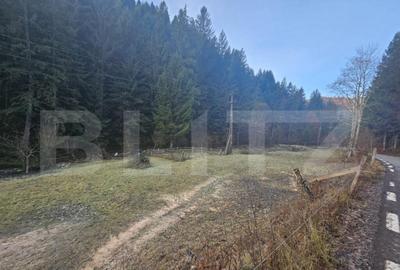 Teren intravilan 2000 mp, zona montana, Valtori, Vadu Mot - 1