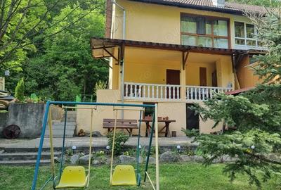 Vila de vanzare in Mun?ii Retezat, pe malul raului - 4