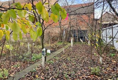 Vânzare Casă Hărman - 2