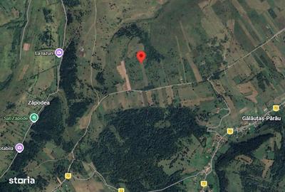 Teren de 9723 mp, în Gălăuțaș - 3