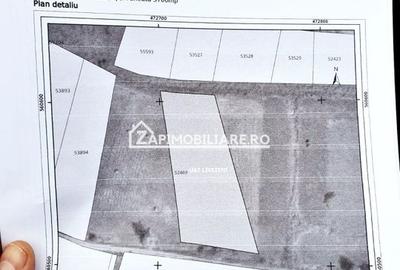 Ocazie Teren Intravilan 3.400 mp. 30 euro mp - 5